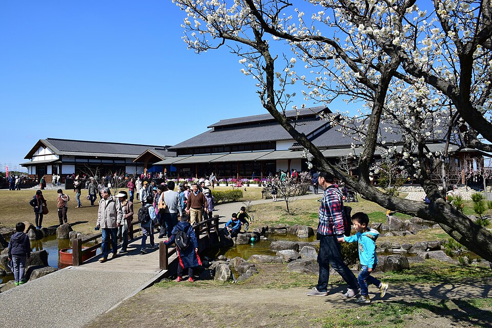 知多市の代表画像