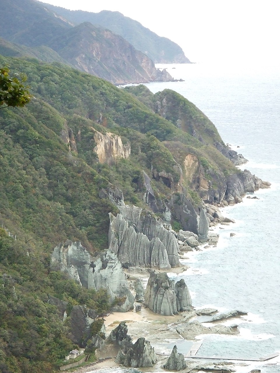 佐井村の代表画像