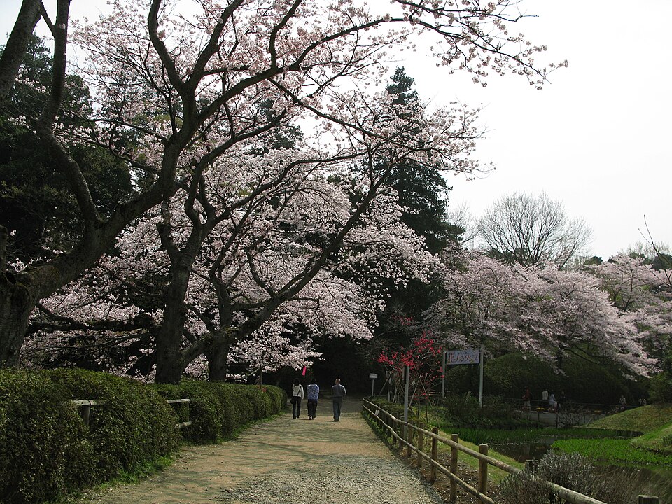 野田市の代表画像