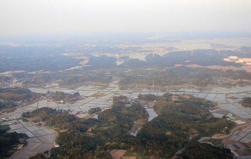 芝山町の代表画像