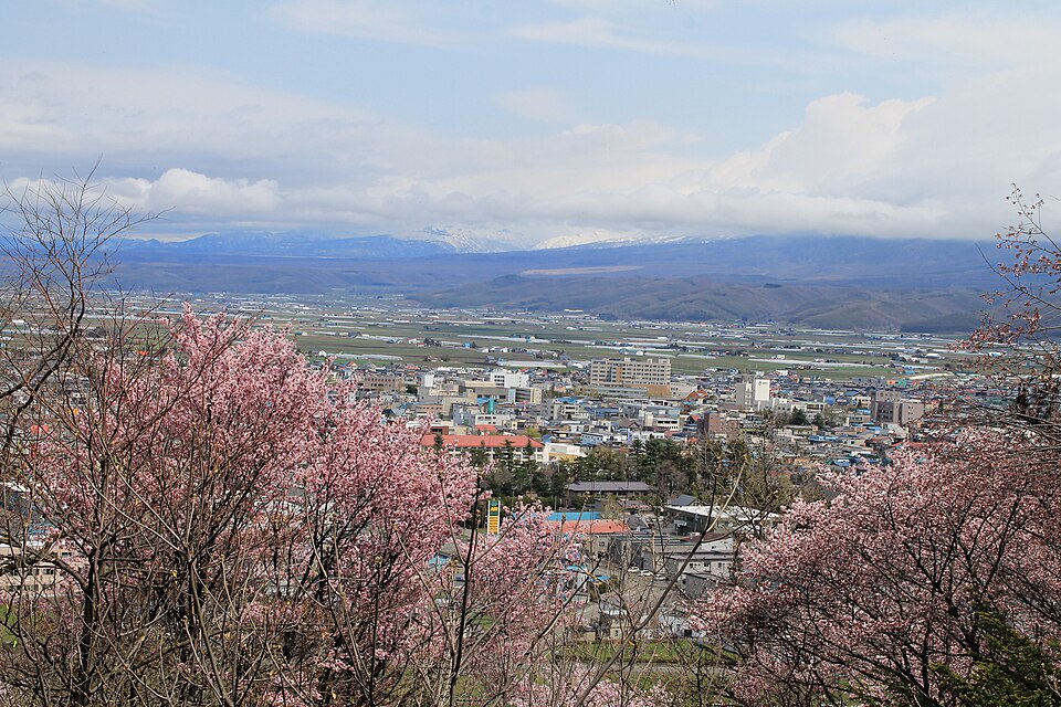 富良野市の代表画像