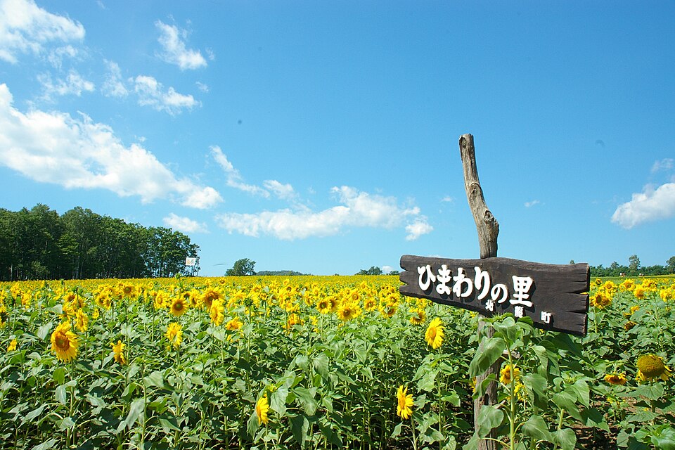 北竜町の代表画像