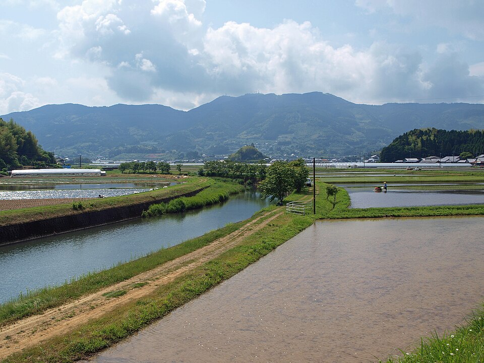 佐川町の代表画像