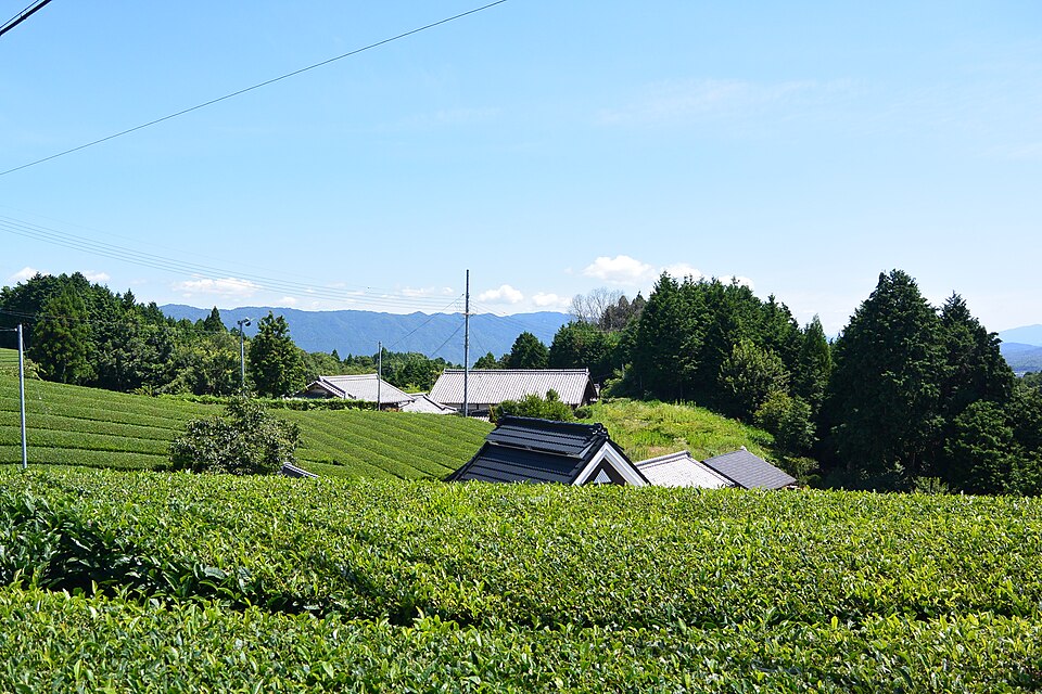 南山城村の代表画像