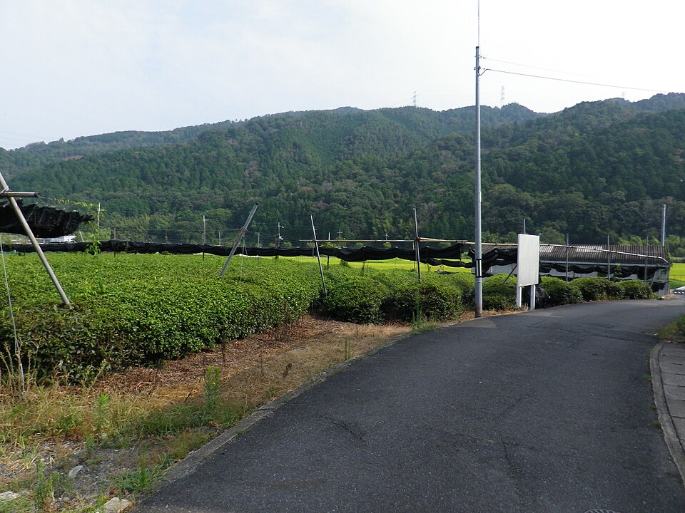 宇治田原町の代表画像