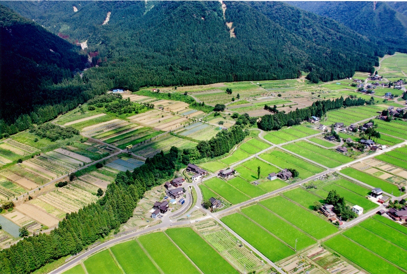 魚沼市の代表画像