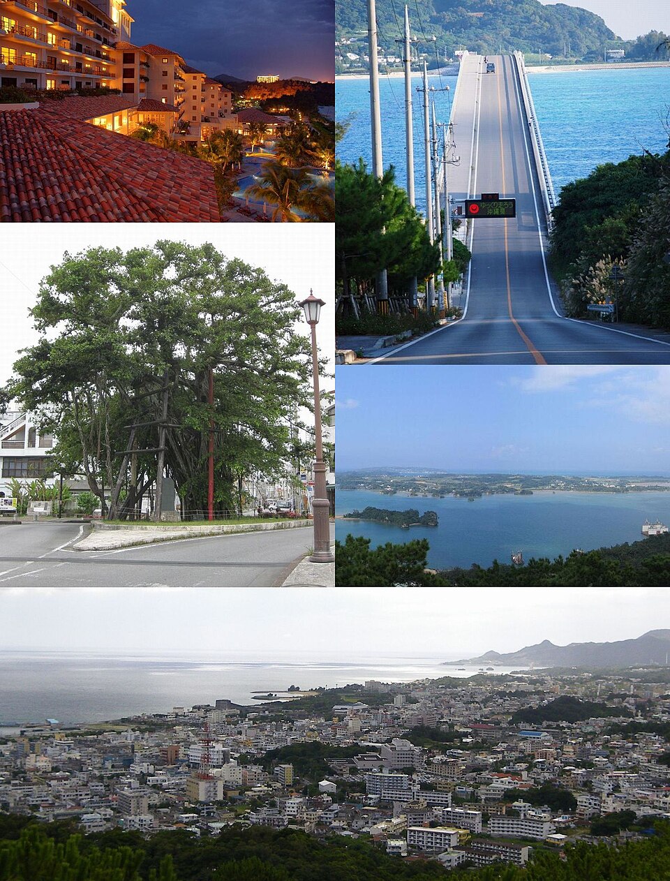 名護市の代表画像