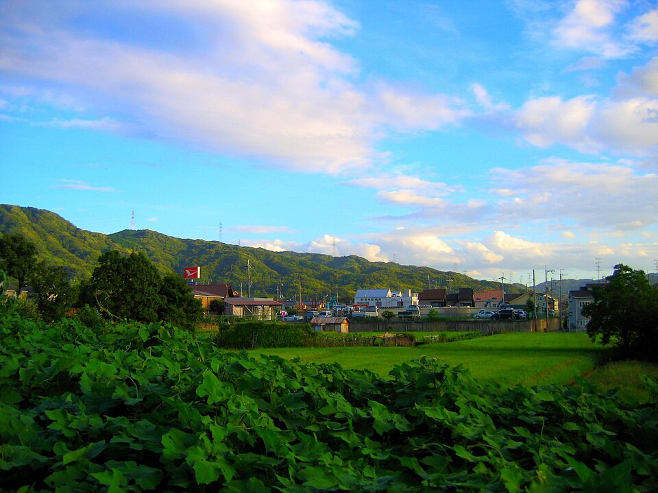交野市の代表画像