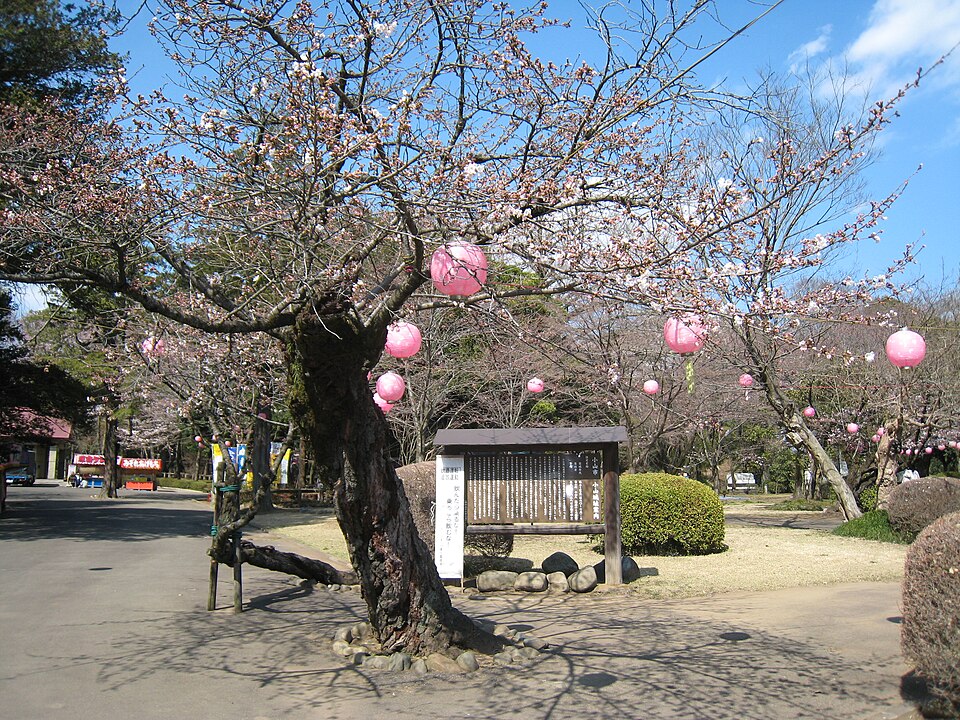 小山市の代表画像