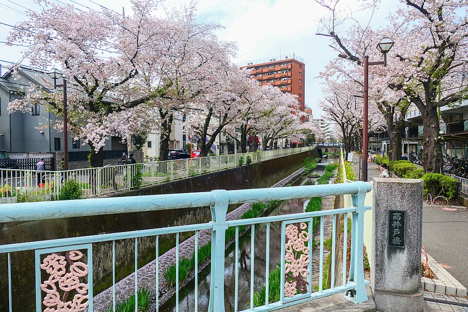 杉並区の代表画像