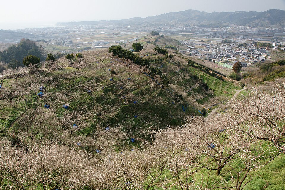 みなべ町の代表画像